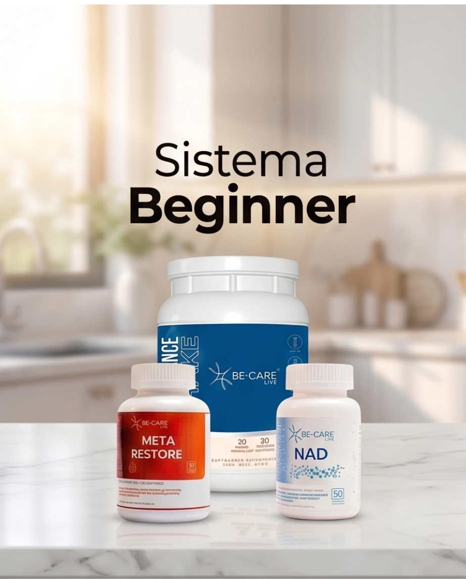 SISTEMA BE GINNER