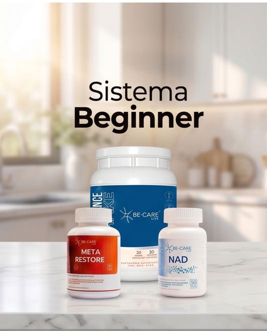 SISTEMA BE GINNER